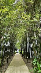 The Visionaire (D27), Condominium #522312081